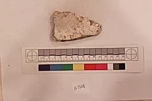 Stucco Fragment by Unknown Artist