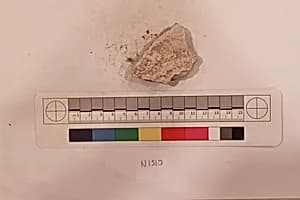 Stucco Fragment by Unknown Artist