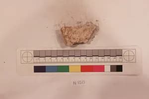 Stucco Fragment by Unknown Artist