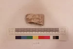 Stucco Fragment by Unknown Artist