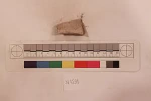Stucco Fragment by Unknown Artist