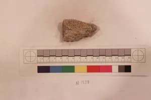 Stucco Fragment by Unknown Artist