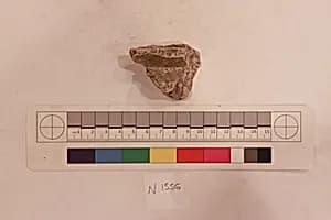 Stucco Fragment by Unknown Artist