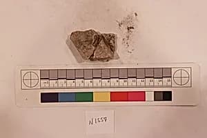 Stucco Fragment by Unknown Artist