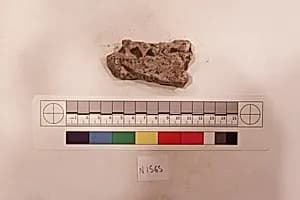 Stucco Fragment by Unknown Artist