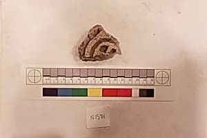 Stucco Fragment by Unknown Artist