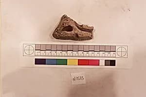 Stucco Fragment by Unknown Artist