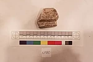 Stucco Fragment by Unknown Artist
