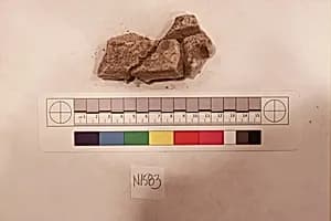 Stucco Fragment by Unknown Artist