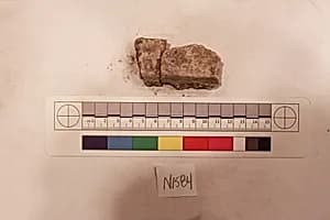Stucco Fragment by Unknown Artist