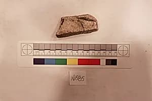 Stucco Fragment by Unknown Artist