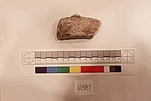 Stucco Fragment by Unknown Artist