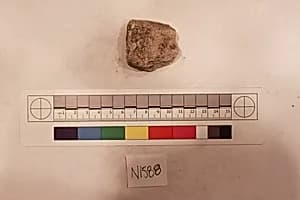 Stucco Fragment by Unknown Artist