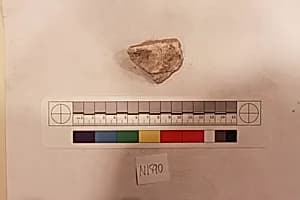 Stucco Fragment by Unknown Artist