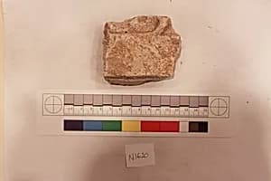 Stucco Fragment by Unknown Artist