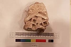 Stucco Fragment by Unknown Artist