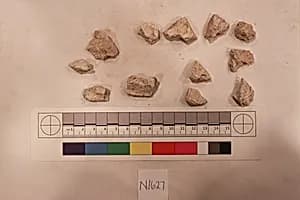 Stucco Fragment by Unknown Artist