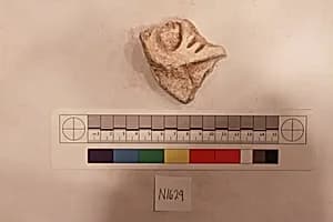 Stucco Fragment by Unknown Artist