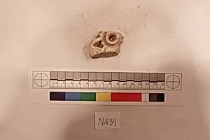 Stucco Fragment by Unknown Artist