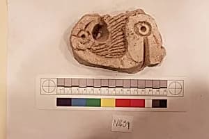 Stucco Fragment by Unknown Artist