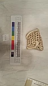 Stucco Fragment by Unknown Artist