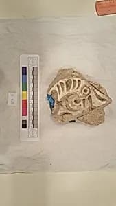 Stucco Fragment by Unknown Artist