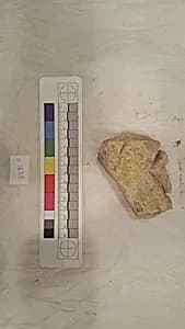Stucco Fragment by Unknown Artist
