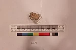 Stucco Fragment by Unknown Artist