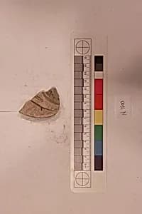Stucco Fragment by Unknown Artist