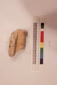 Stucco Fragment by Unknown Artist