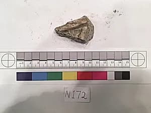 Stucco Fragment by Unknown Artist