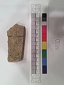 Stucco Fragment by Unknown Artist