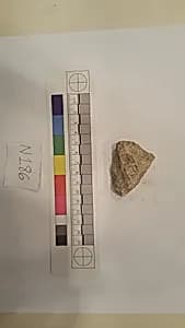 Stucco Fragment by Unknown Artist