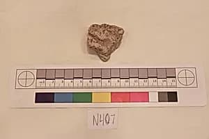 Stucco Fragment by Unknown Artist