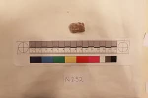 Stucco Fragment by Unknown Artist