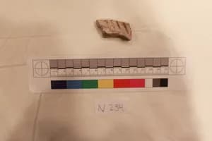Stucco Fragment by Unknown Artist