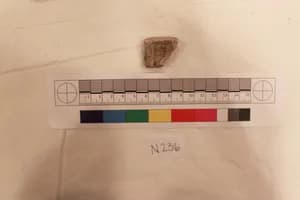 Stucco Fragment by Unknown Artist