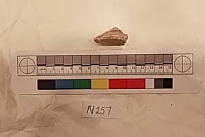 Stucco Fragment by Unknown Artist