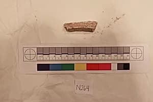 Stucco Fragment by Unknown Artist