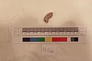 Stucco Fragment by Unknown Artist