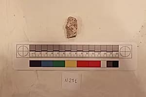 Stucco Fragment by Unknown Artist