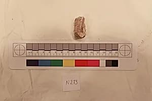Stucco Fragment by Unknown Artist