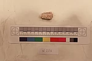 Stucco Fragment by Unknown Artist