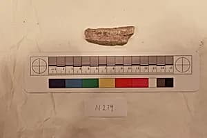 Stucco Fragment by Unknown Artist