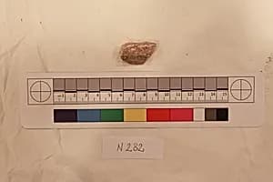 Stucco Fragment by Unknown Artist