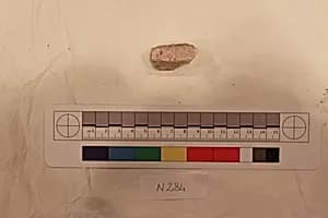 Stucco Fragment by Unknown Artist