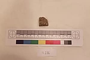 Stucco Fragment by Unknown Artist