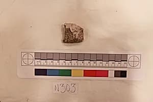 Stucco Fragment by Unknown Artist