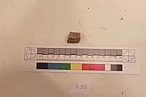 Stucco Fragment by Unknown Artist