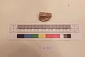 Stucco Fragment by Unknown Artist